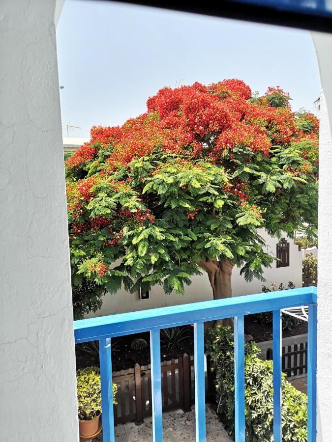 Ferienhaus Maspalomas Casa La Loba